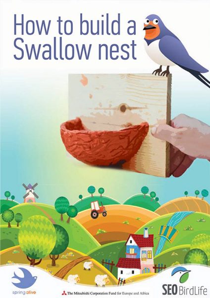 Swallows_Nest_workshop_Miguel Muñoz Carmona(SEO)